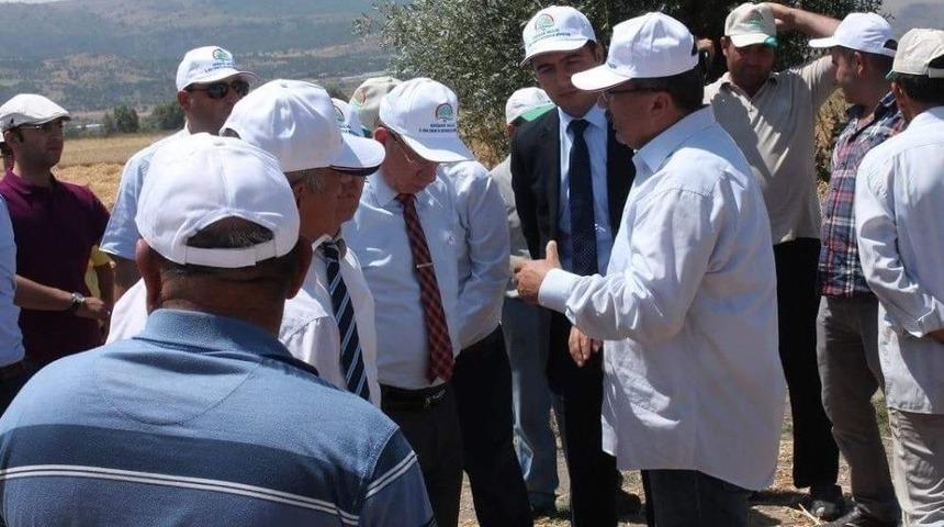 Vali Yardımcısı İnönü’de Hasat Bölgelerini Gezdi