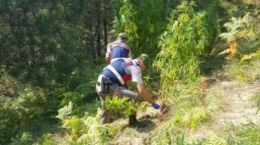 Zonguldak'ta Uyuşturucu Operasyonu: 4 G&ouml;zaltı