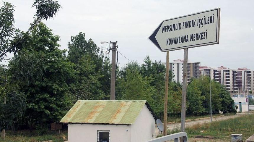 Giresun’da Mevsimlik Fındık İşçilerine Modern Konaklama Merkezi