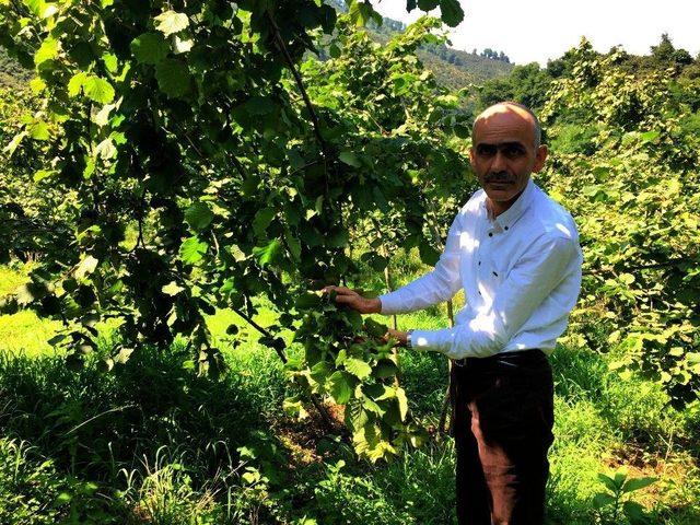 Giresun’da Mevsimlik Fındık İşçilerine Modern Konaklama Merkezi