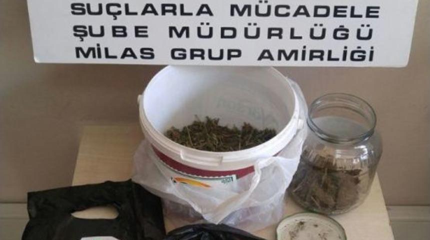 Milas&rsquo;ta Torbacılara Operasyon: 2 G&ouml;zaltı