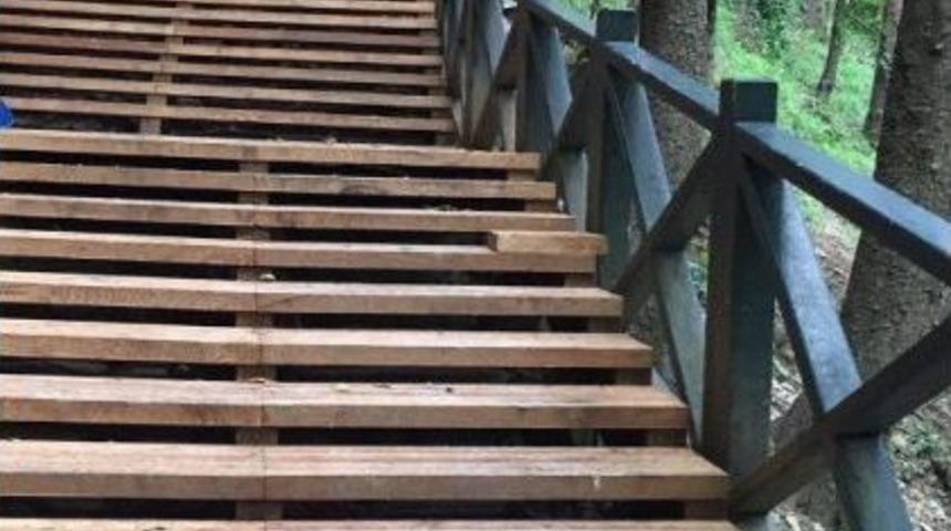 S&uuml;mela Manastırı&rsquo;na Giden Patika Yoldaki Ağa&ccedil; K&ouml;klerini Korumak İ&ccedil;in Ahşap Merdiven &Ccedil;&ouml;z&uuml;m&uuml;