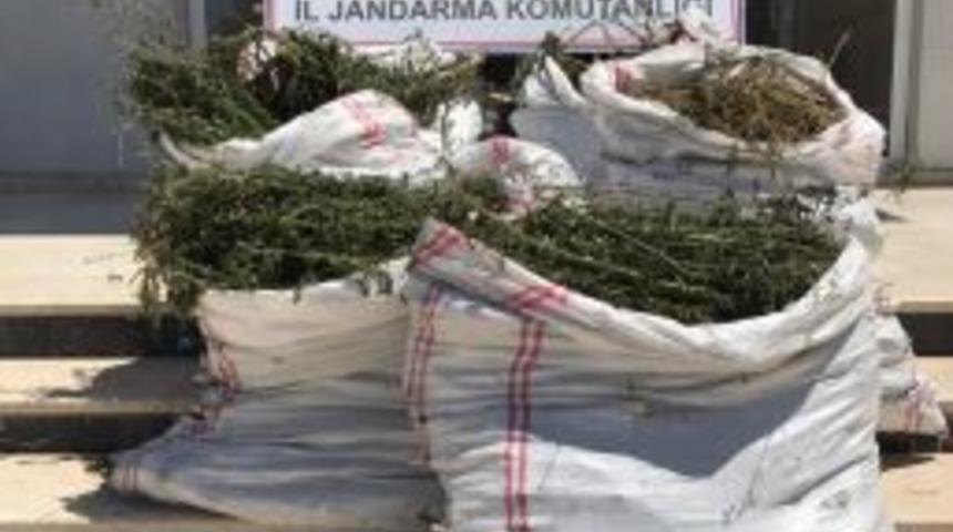 Antalya&rsquo;da Uyuşturucu Operasyonu
