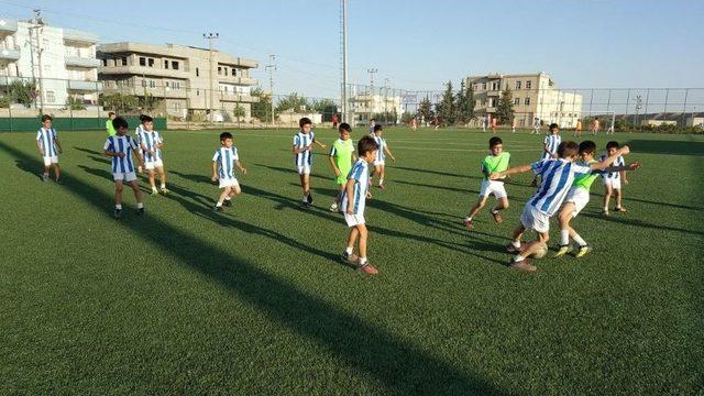 Yaz Futbol Kurslarında Yıldız Sporcular Yetişiyor