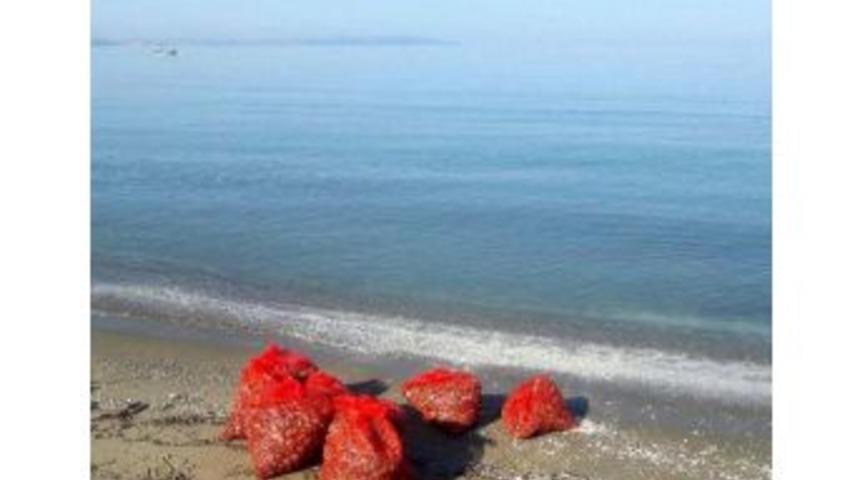 Gelibolu'da Ka&ccedil;ak Midye Avcılarına Para Cezası