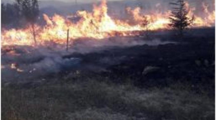 Sandıklı’da Orman Yangını