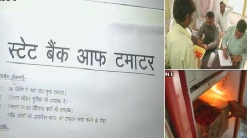 Hindistan&rsquo;Da &lsquo;Devlet Domates Bankası&rsquo; Kuruldu
