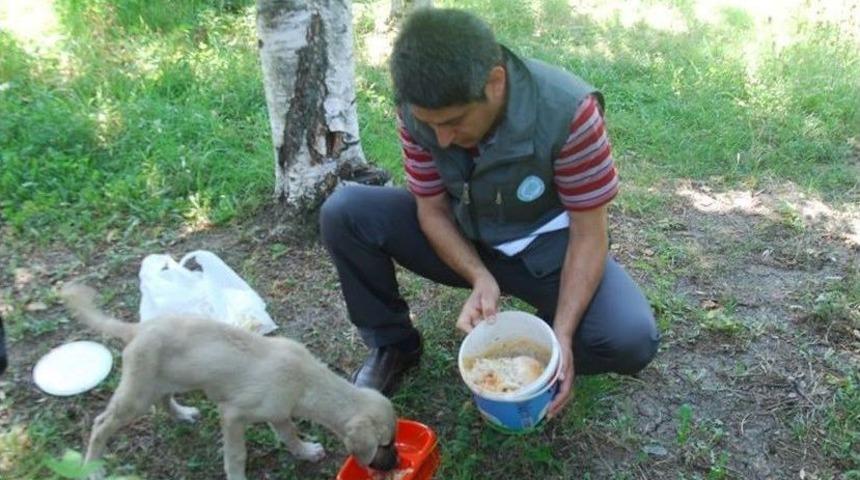 Sokak Hayvanları İ&ccedil;in Parklara Su Ve Yem Kabı Bırakıldı