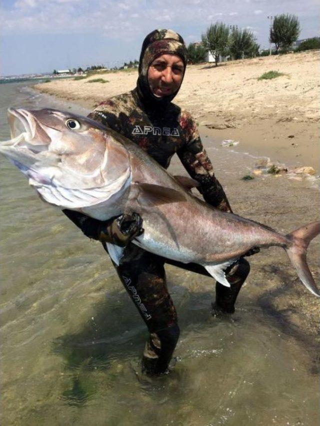 2 Metre Boyunda, 68 Kilo Ağırlığında Akya Avladı