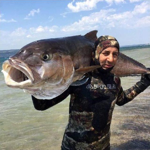 2 Metre Boyunda, 68 Kilo Ağırlığında Akya Avladı