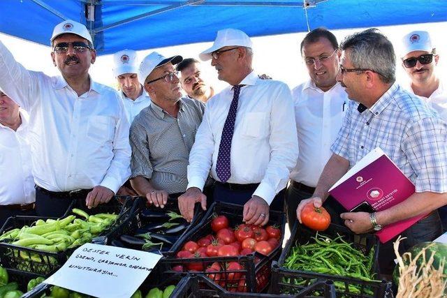 Vezirküprü’de “nohut Tarla Günü”