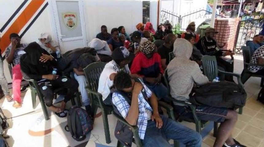 Ayvacık'ta Denizde 42 Kaçak Yakalandı