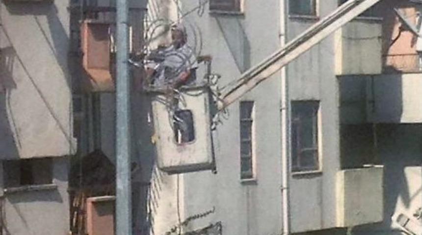 Ankara Caddesinin Flamingoları Geldi