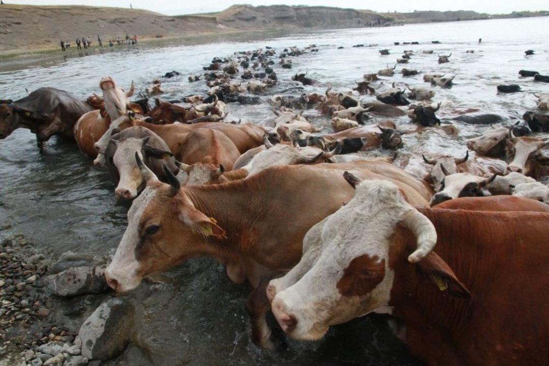 Murat Nehri&rsquo;nde Kaybolan Nişanlı Kızın Cesedi Bulundu
