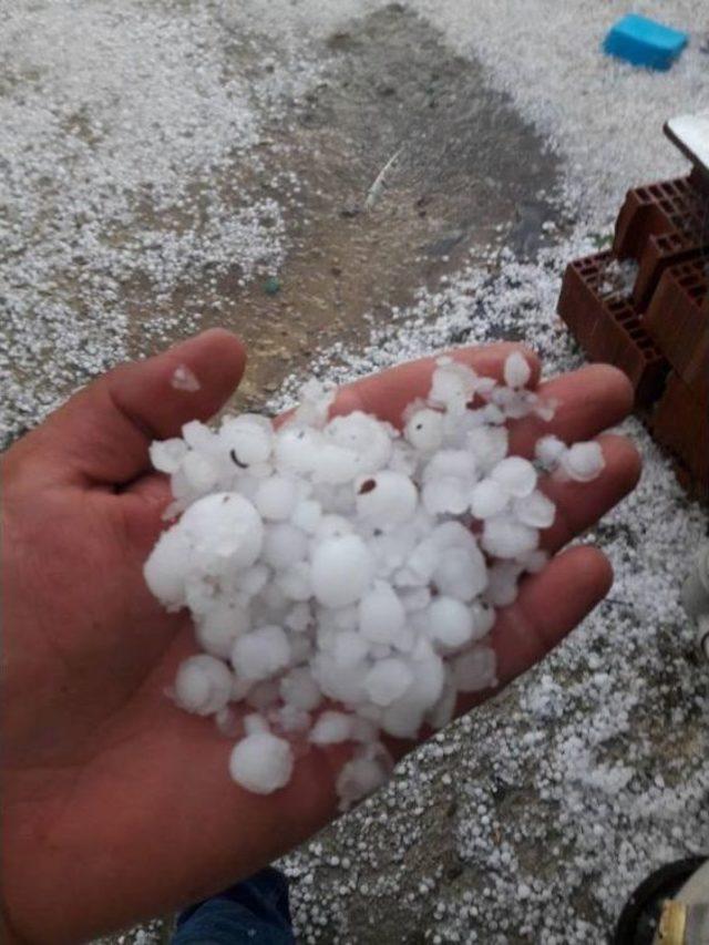 Aniden Bastıran Dolu, Mahsullere Zarar Verdi