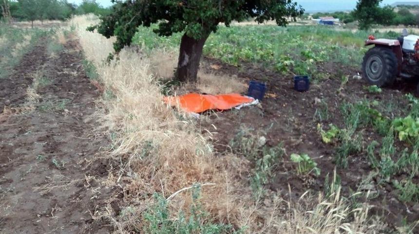 Üzerine Yıldırım Düşen Yaşlı Kadın Öldü