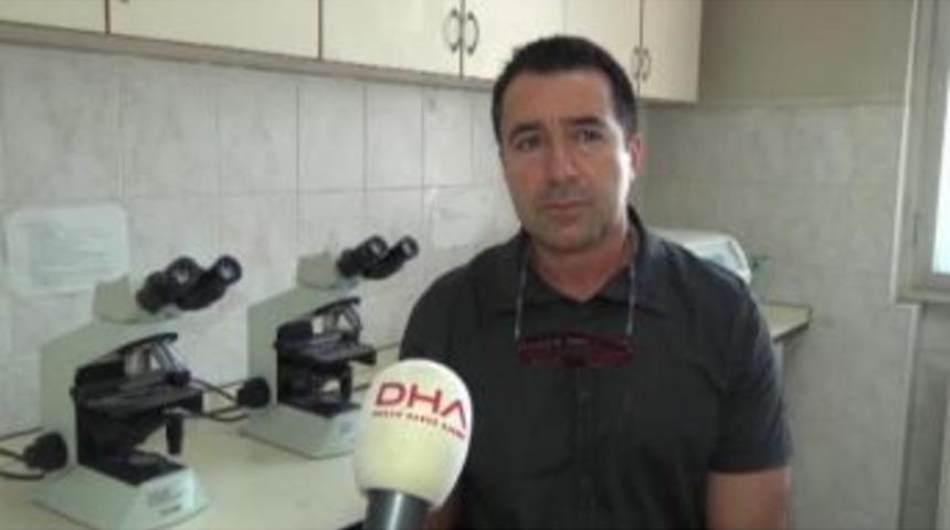 "t&uuml;rkiye'de Gdo &Uuml;retimi Yasaktır, Biyog&uuml;venlikkurulu'da G&ouml;revini Yapmaktadır"