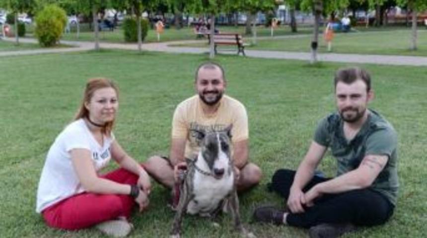 'd&ouml;rt B&ouml;lge, Tek Y&uuml;rek' Projesiyle Besleyecekler