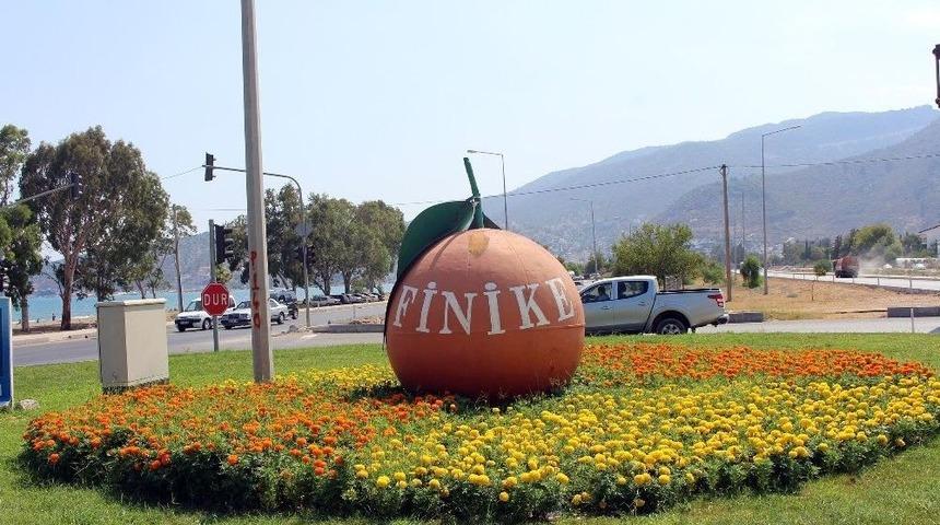 Finike Çiçek Açtı
