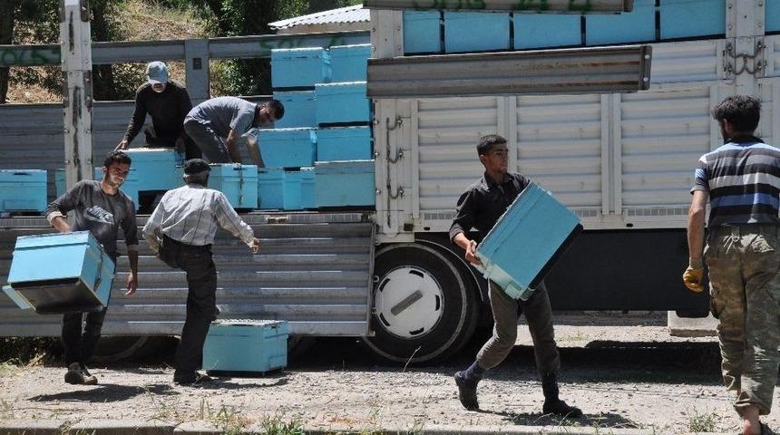 Tkdk&rsquo;dan Kadın Yatırımcıya Kovan Desteği