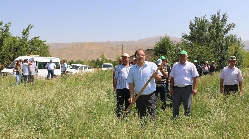 Erzincan&rsquo;da İlk Kez İtalyan &Ccedil;imi Alternatif Yem Bitkisi Tarla G&uuml;n&uuml; D&uuml;zenlendi