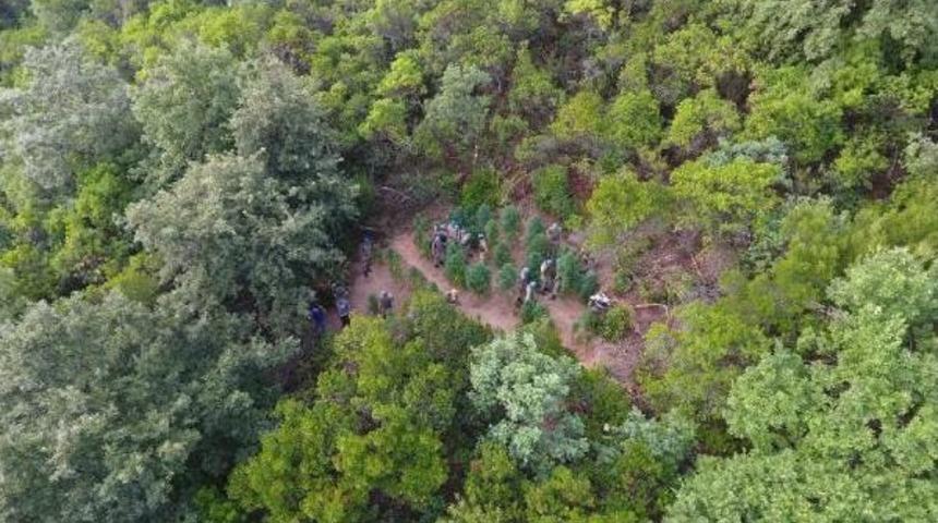 Ormanlık Alana Hintkeneviri Ekip 4 Kilometre Su Borusu D&ouml;şemiş