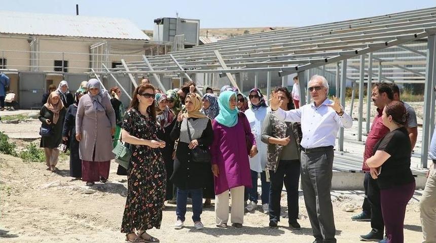 B&ouml;lgenin En B&uuml;y&uuml;k Sokak Hayvanları Bakımevi Ve Rehabilitasyon Merkezi K&uuml;tahya&rsquo;da