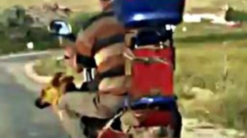 Motosiklette K&ouml;pek İle Tehlikeli Yolculuk