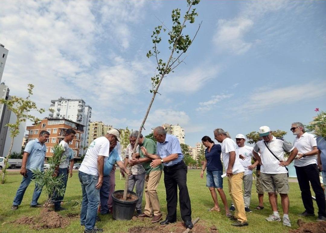 Atom Bombasına Direnen Ağa&ccedil; Antalya&rsquo;da K&ouml;k Salacak