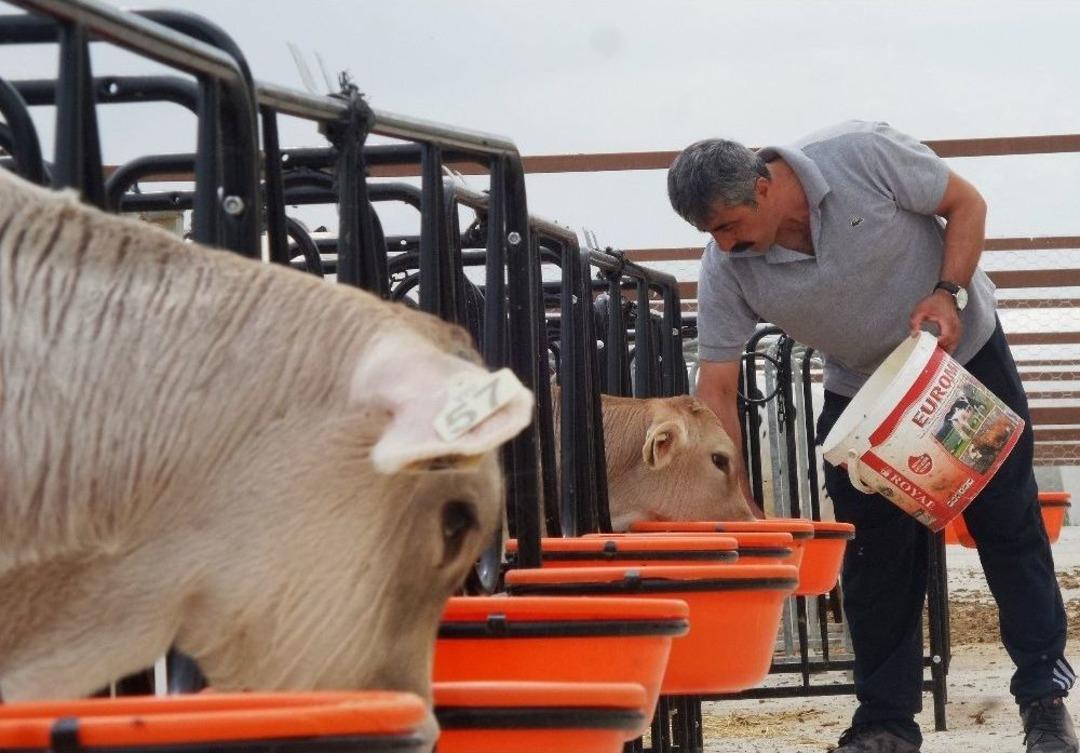 &Ccedil;ift&ccedil;i Eğitim Merkezi&rsquo;nde Hem Eğitim Hem &Uuml;retim