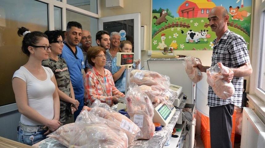 &Uuml;niversiteli Tavuklara B&uuml;y&uuml;k İlgi