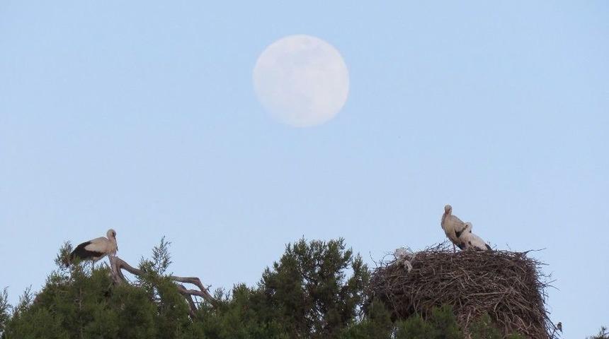 Leylekler Vadisi&rsquo;nde Dolunay Manzarası