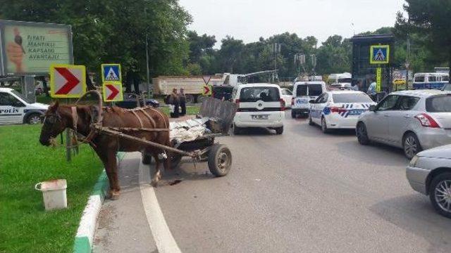 Hırsızlıktan Aranan Hurdacı, At Arabasıyla Polis Aracına Çarptı