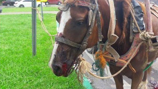 Hırsızlıktan Aranan Hurdacı, At Arabasıyla Polis Aracına Çarptı