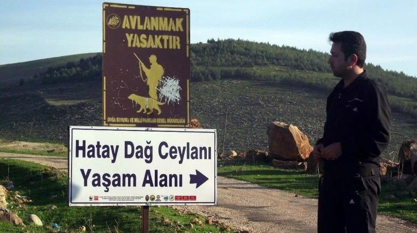 &Ccedil;evrecilerden &Ccedil;imento Fabrikası Tepkisi