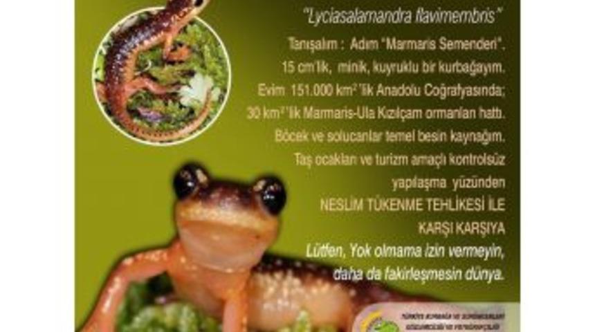 Marmaris Semenderi&rsquo;nin Nesli T&uuml;kenmesin