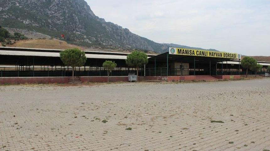 Manisa&rsquo;da Kurban Pazarı 10 G&uuml;n Sonra A&ccedil;ılacak