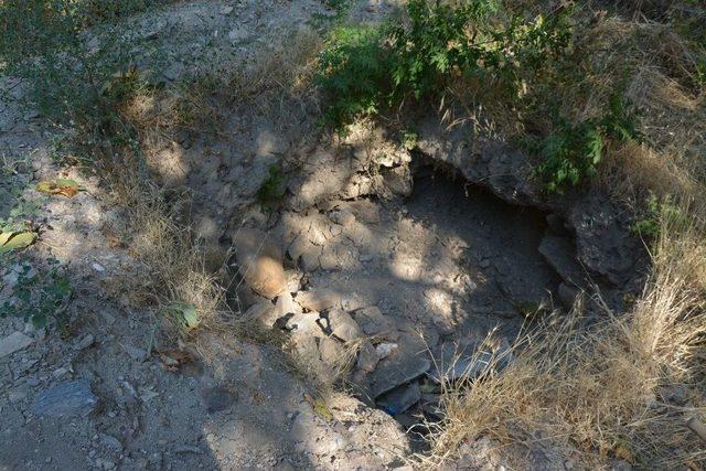 Tarihe Meydan Okuyan Kilise, Definecilerden Çektiğini Kimseden Çekmedi