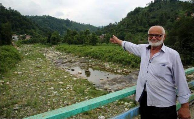 Rize'de Dereler Bu Yıl Da Suya Hasret Kaldı