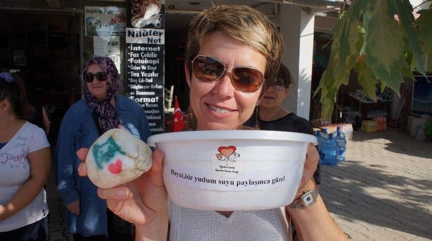 Sokak Hayvanları İçin Su Ve Mama Kabı Dağıttılar