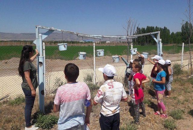 Çocuklara Yönelik Bahçe Etkinliği Yapıldı