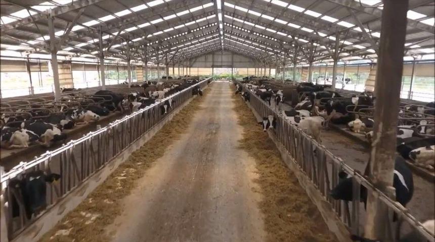 Veterinerlerden Sokakta Satılan S&uuml;t İ&ccedil;in &Ouml;nemli Uyarı: