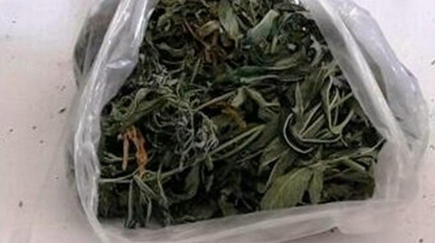 Kahramanmaraş&rsquo;ta Uyuşturucu Operasyonu