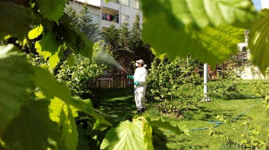 Bağcılar&rsquo;da Aşırı Neme Karşı &ldquo;yeşil &Ouml;nlem&rdquo;