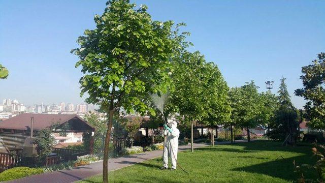 Bağcılar’da Aşırı Neme Karşı “yeşil Önlem”