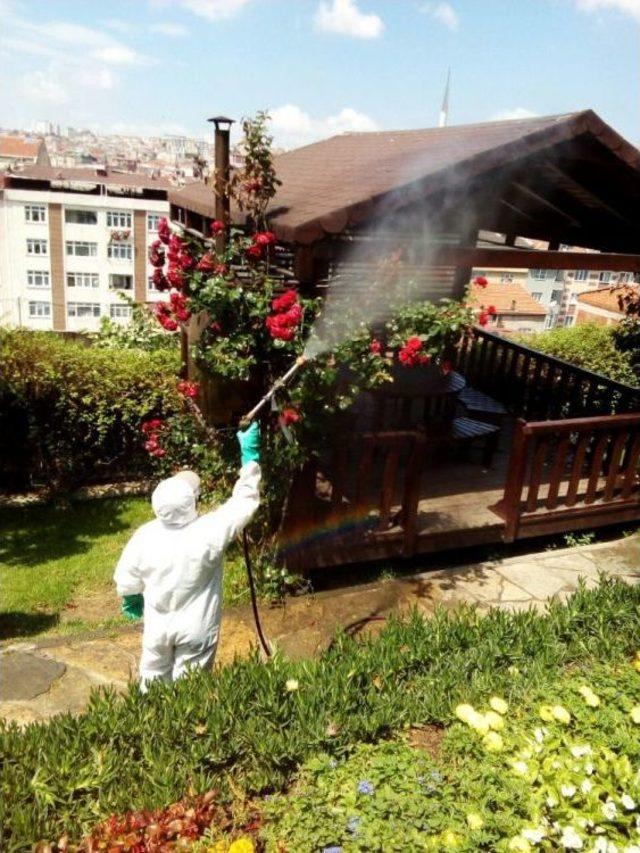 Bağcılar’da Aşırı Neme Karşı “yeşil Önlem”