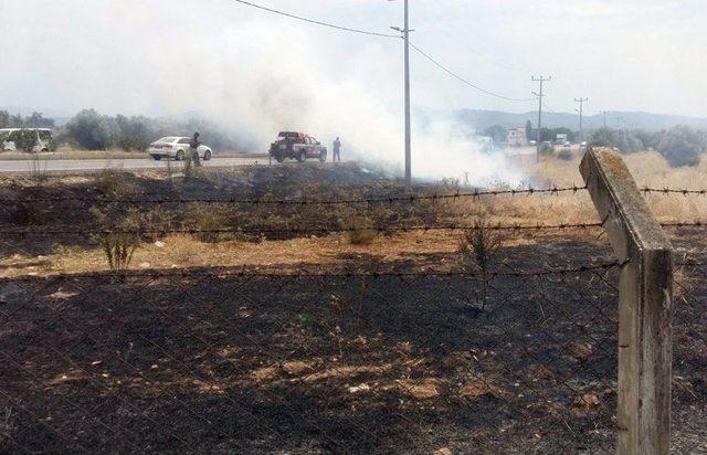 Milas’ta Otluk Alanda Başlayan Yangın Teknelere Sıçradı