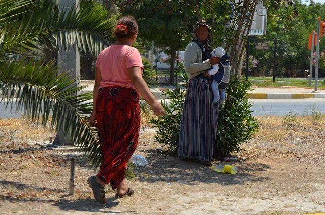 Milas’ta Sürücülerinin Dilenci Tepkisi