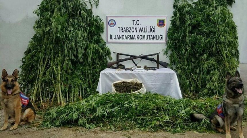 Uyuşturucu Baskınında Tarihi Eser Ele Ge&ccedil;irildi