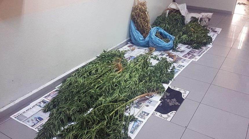 Uyuşturucu Operasyonunda 1 Kişi Tutuklandı